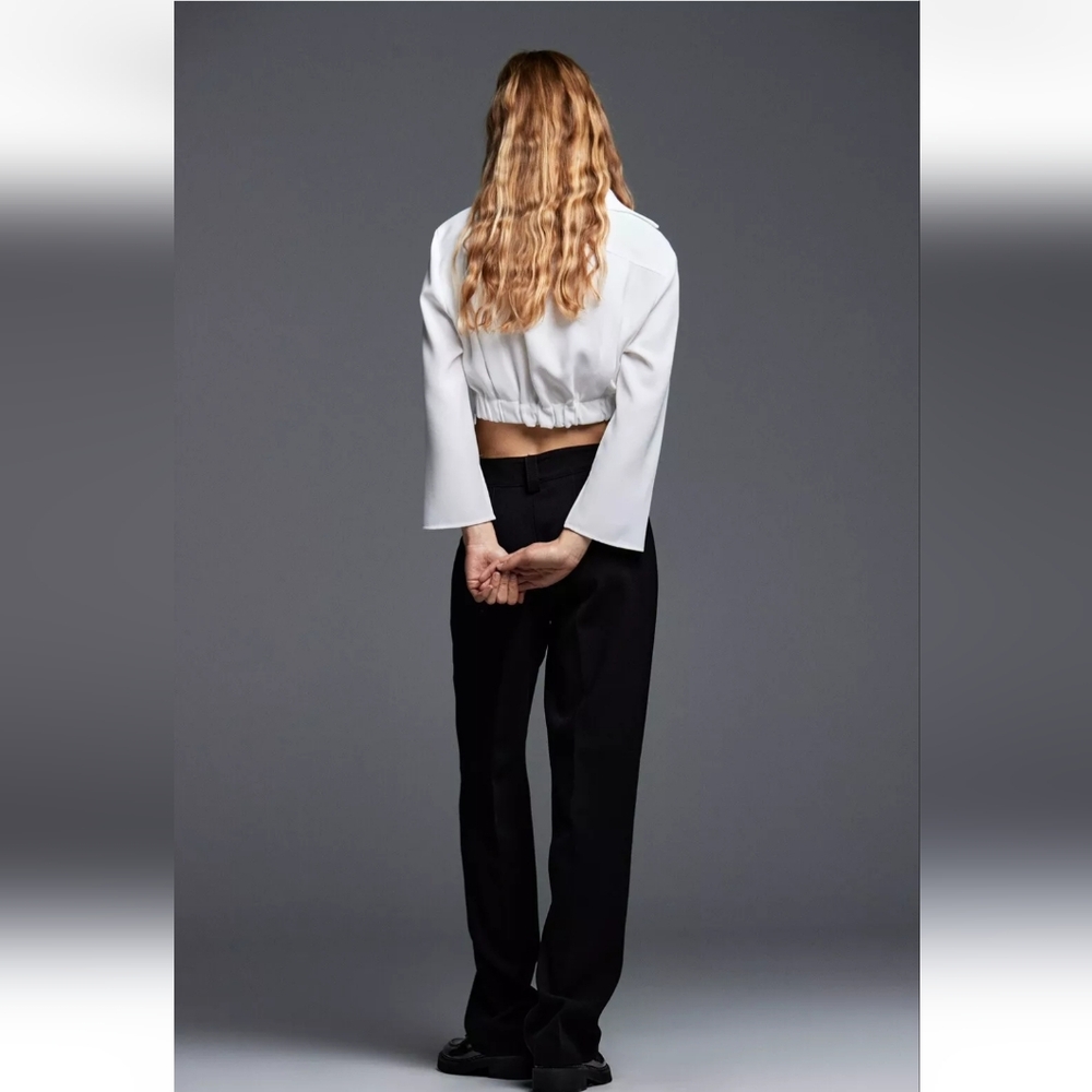 Zara Pleated Cropped Shirt